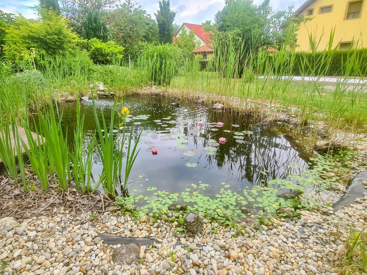 Ditlin Apartmanok Pápa Extérieur photo